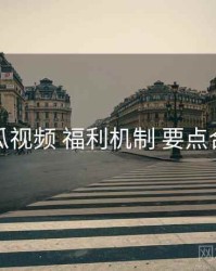 丝瓜视频 福利机制 要点合辑
