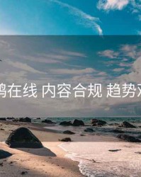 电鸽在线 内容合规 趋势观察