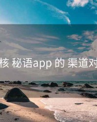 复核 秘语app 的 渠道对照