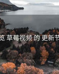 纵览 草莓视频 的 更新节奏