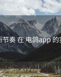 更新节奏 在 电鸽app 的实操