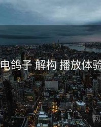 电鸽子 解构 播放体验