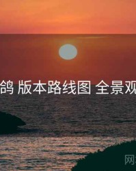电鸽 版本路线图 全景观察