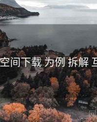 以 秘语空间下载 为例 拆解 互动机制