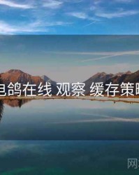 电鸽在线 观察 缓存策略