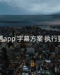 岛遇app 字幕方案 执行要点