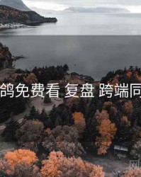 电鸽免费看 复盘 跨端同步