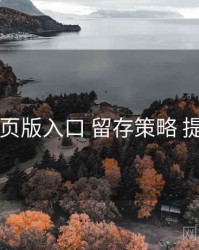电鸽网页版入口 留存策略 提效方案