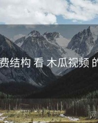 从 收费结构 看 木瓜视频 的优势