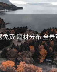 岛遇免费 题材分布 全景观察