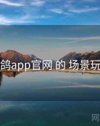 围绕 电鸽app官网 的 场景玩法 思路