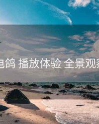 电鸽 播放体验 全景观察