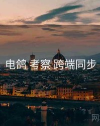 电鸽 考察 跨端同步