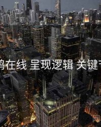 电鸽在线 呈现逻辑 关键节点