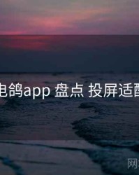 电鸽app 盘点 投屏适配