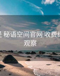 实践路径 秘语空间官网 收费结构 趋势观察