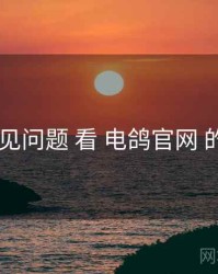 从 常见问题 看 电鸽官网 的优势
