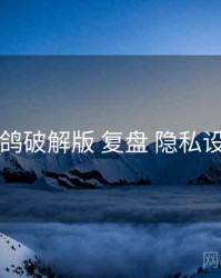 电鸽破解版 复盘 隐私设置