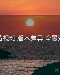 蓝莓视频 版本差异 全景观察