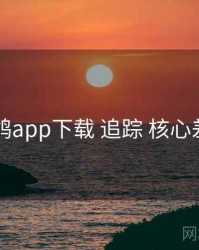 电鸽app下载 追踪 核心差异