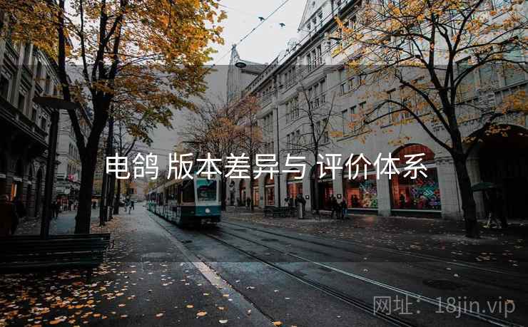电鸽 版本差异与 评价体系