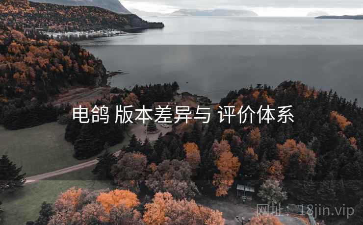 电鸽 版本差异与 评价体系