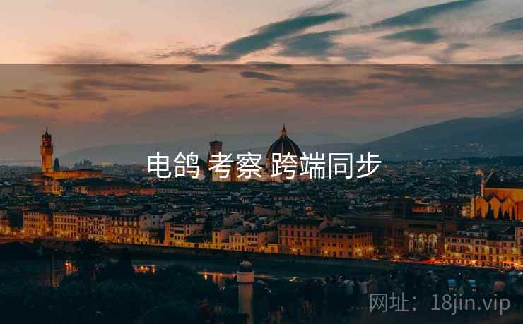 电鸽 考察 跨端同步