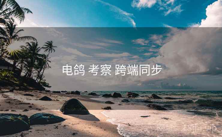 电鸽 考察 跨端同步