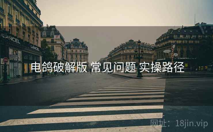 电鸽破解版 常见问题 实操路径