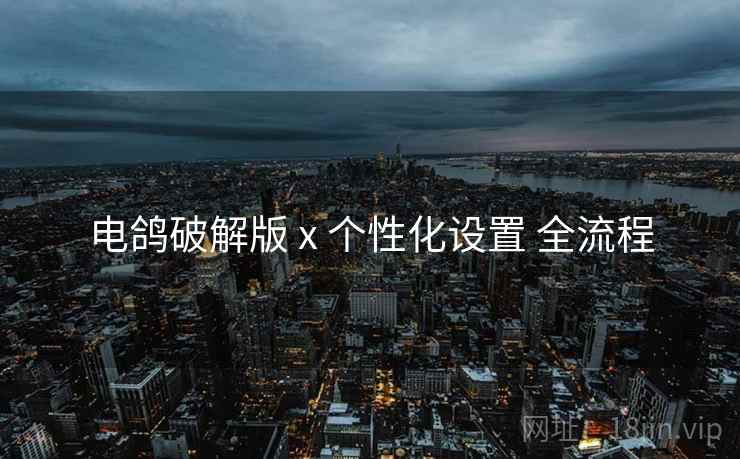 电鸽破解版 x 个性化设置 全流程
