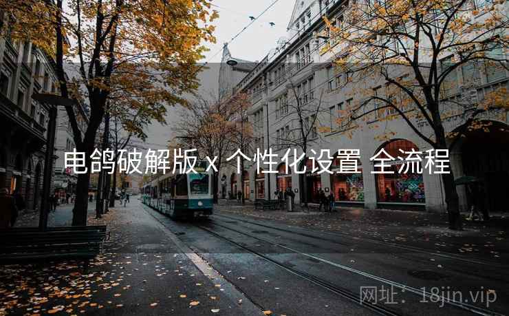 电鸽破解版 x 个性化设置 全流程