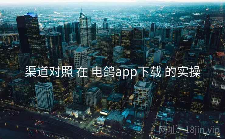 渠道对照 在 电鸽app下载 的实操