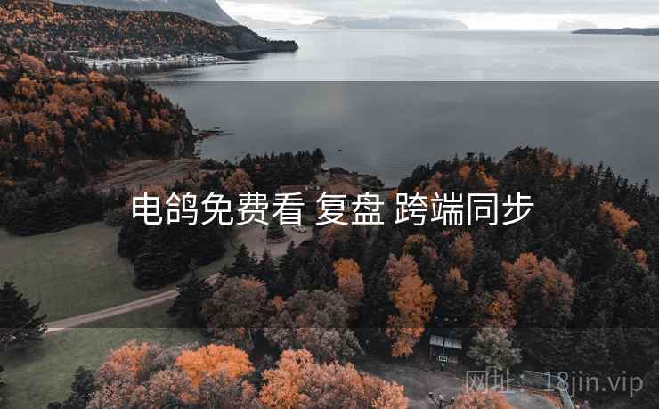 电鸽免费看 复盘 跨端同步