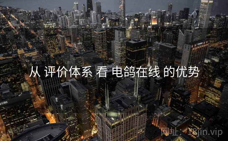 从 评价体系 看 电鸽在线 的优势