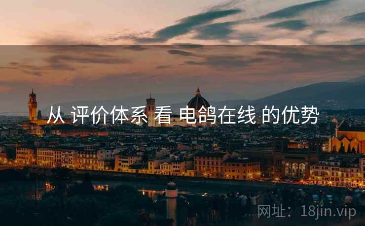 从 评价体系 看 电鸽在线 的优势