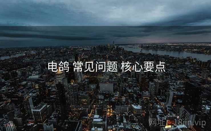 电鸽 常见问题 核心要点