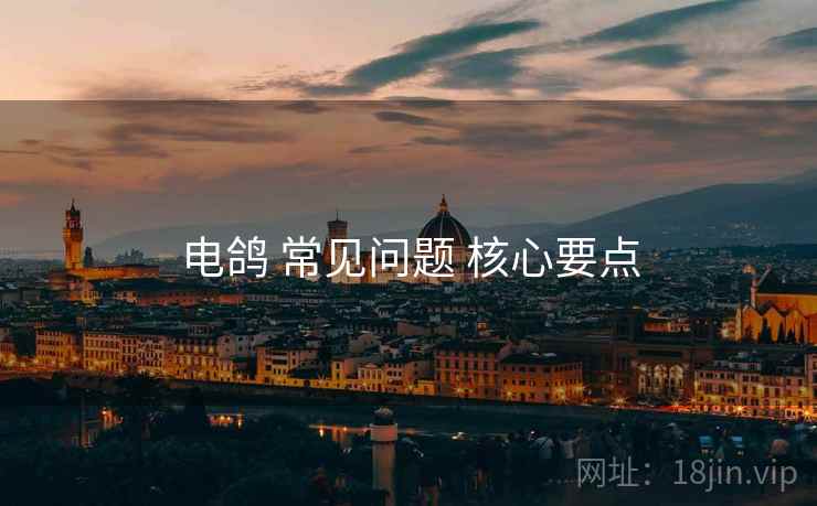 电鸽 常见问题 核心要点
