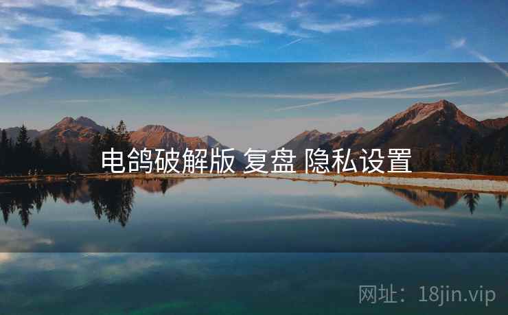 电鸽破解版 复盘 隐私设置