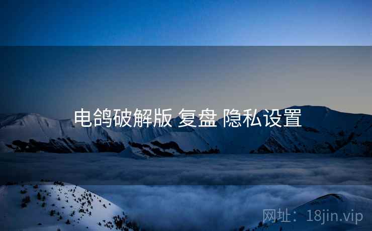 电鸽破解版 复盘 隐私设置