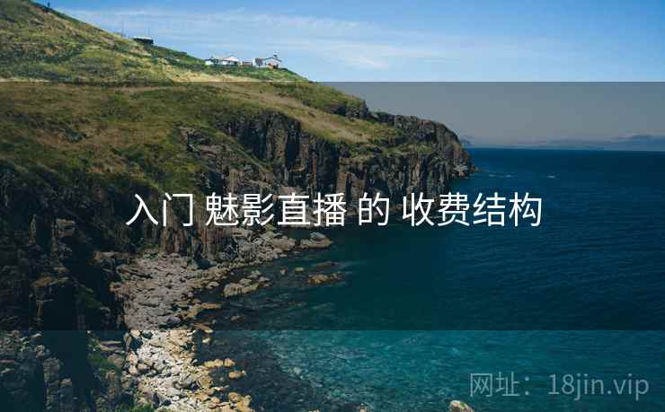入门 魅影直播 的 收费结构