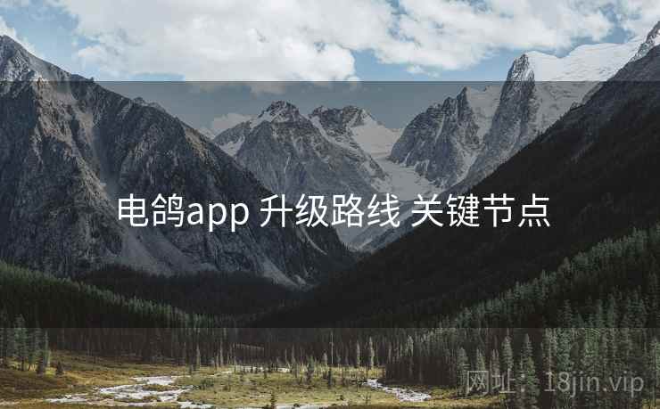 电鸽app 升级路线 关键节点
