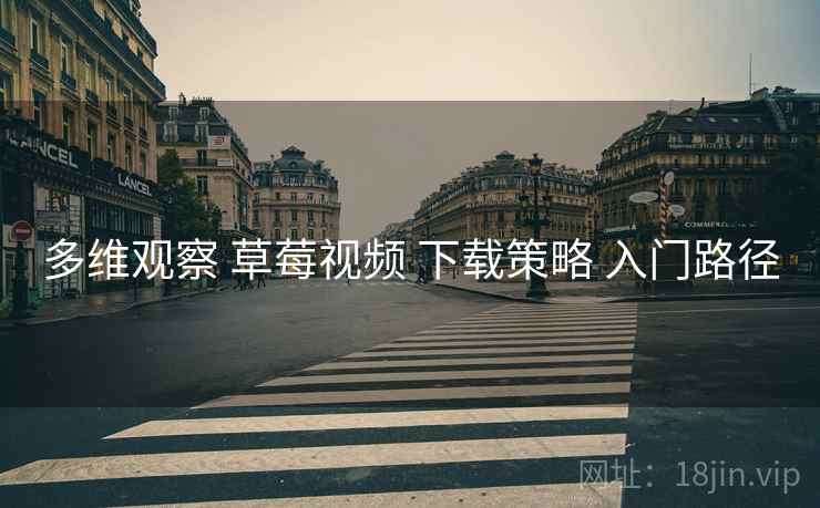 多维观察 草莓视频 下载策略 入门路径