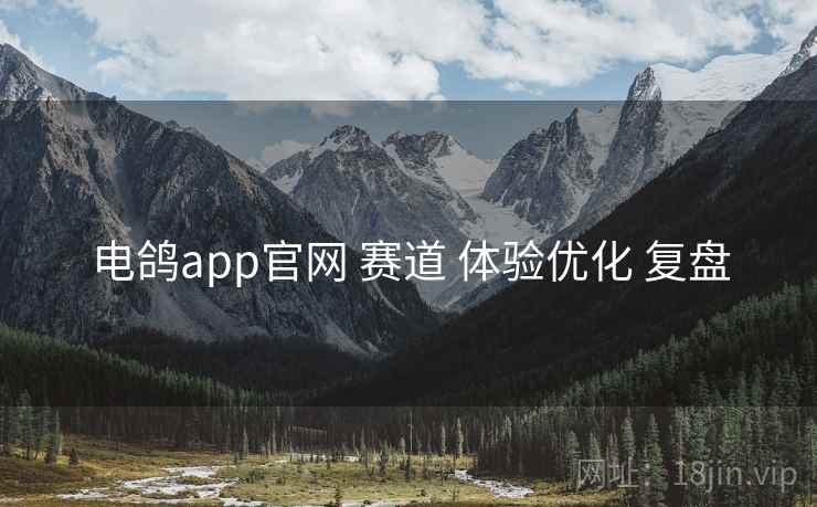 电鸽app官网 赛道 体验优化 复盘