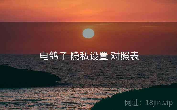 电鸽子 隐私设置 对照表