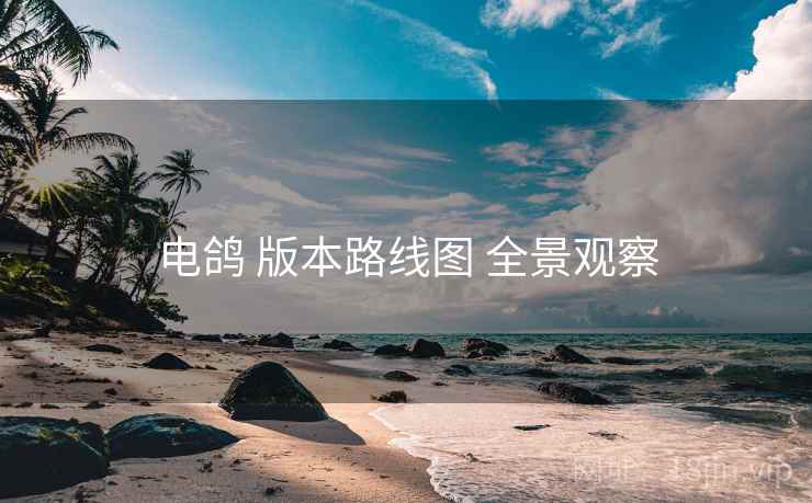 电鸽 版本路线图 全景观察
