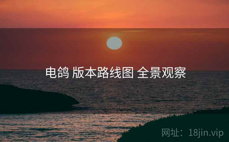 电鸽 版本路线图 全景观察