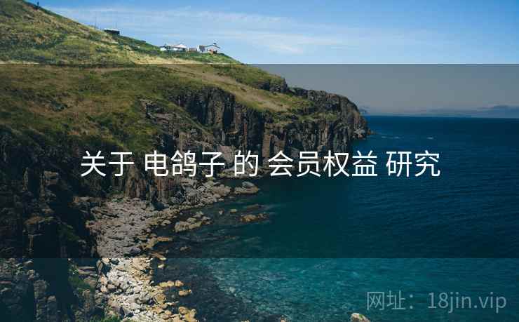 关于 电鸽子 的 会员权益 研究