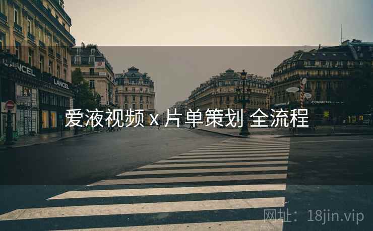 爱液视频 x 片单策划 全流程