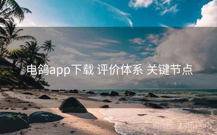 电鸽app下载 评价体系 关键节点