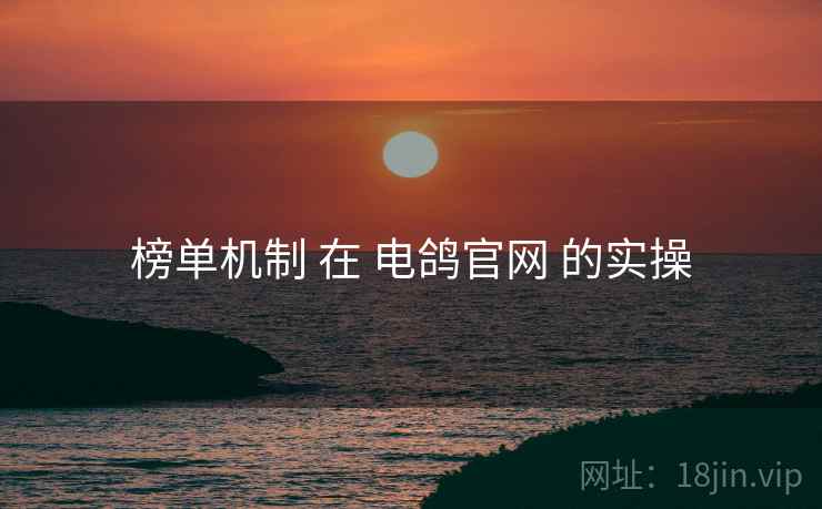 榜单机制 在 电鸽官网 的实操